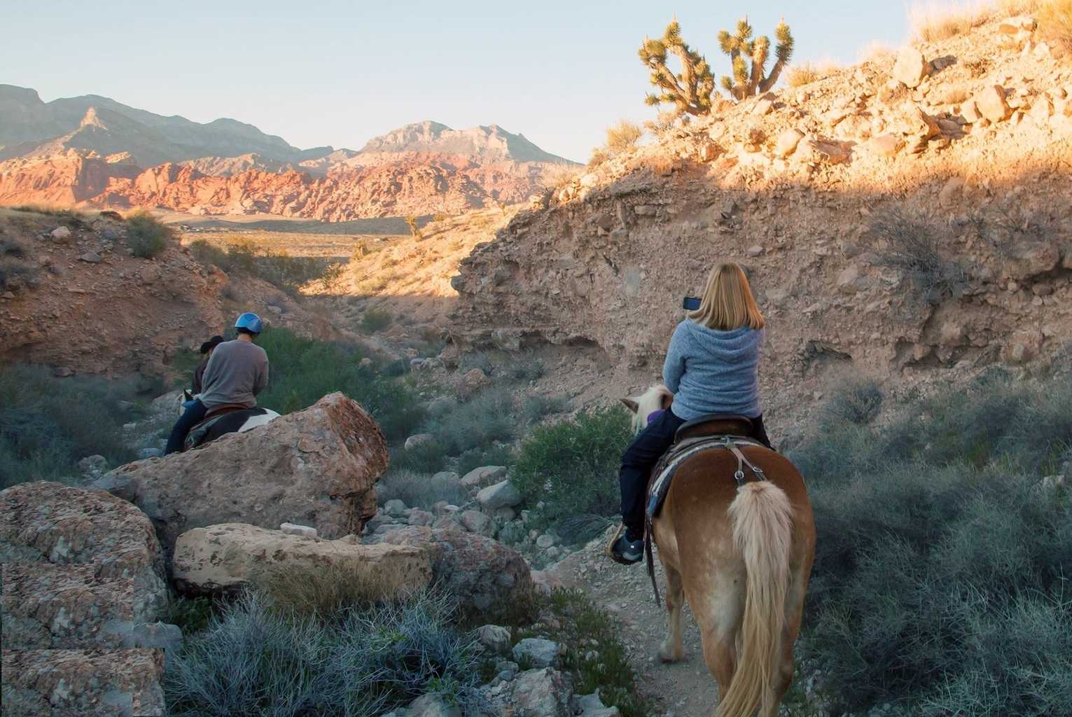 las vegas atv tours red rock canyon